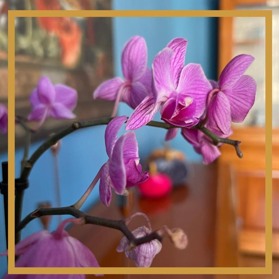 La Casa Di Efra Apartment Рим Екстериор снимка